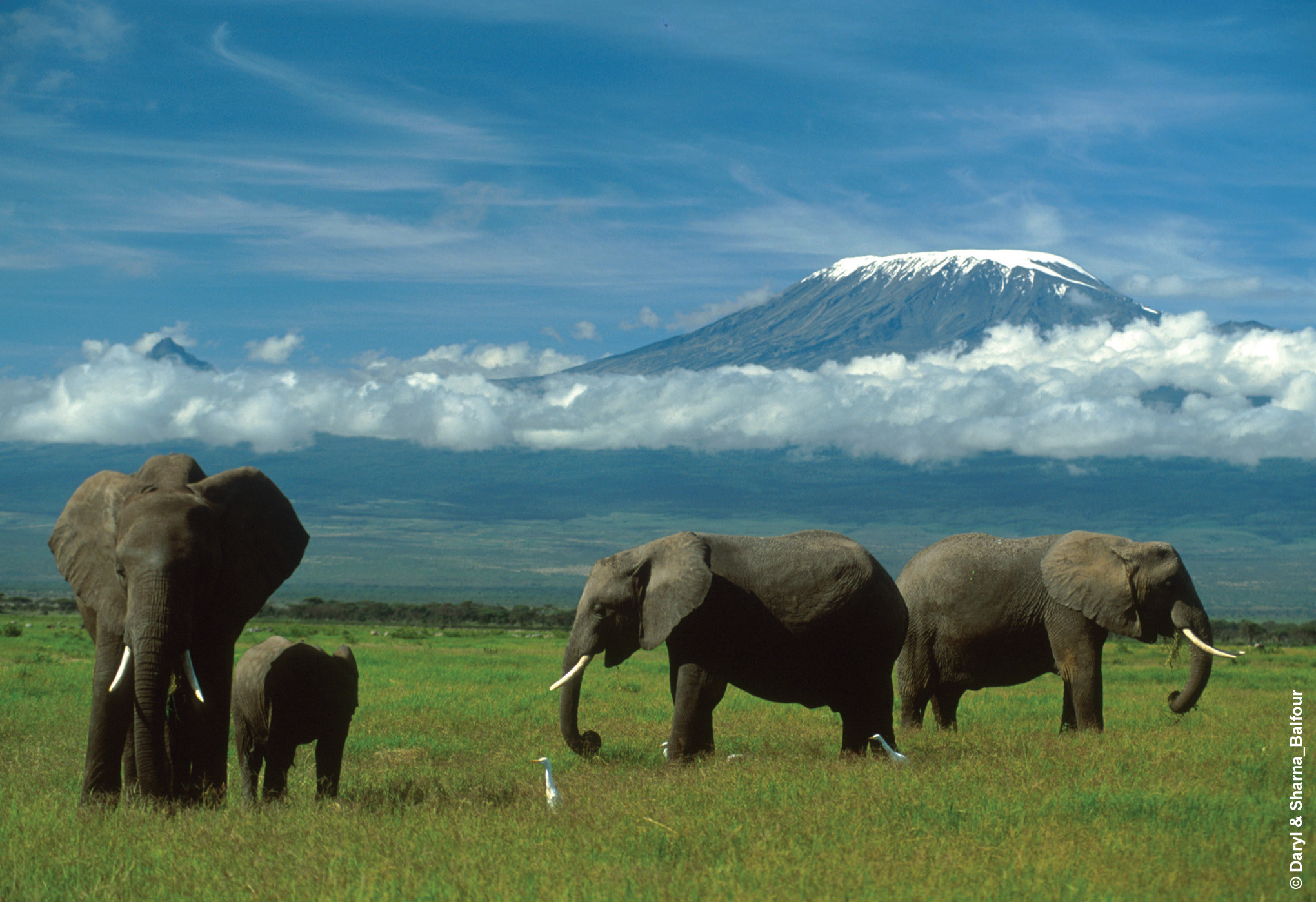 Mount Kilimanjaro photo